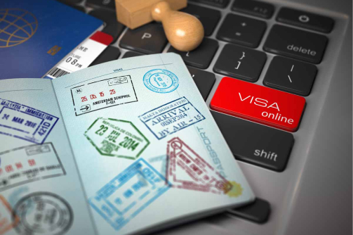 Assistance with all types of study visas